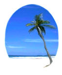 Relax under a palm tree on the beach, Residential Ocean Liner World Resorts, Exclusive Islands, Private Escapes, Ocean Resort - More Than Cruises, The Ultimate Lifestyle, ROL, Residential Ocean Resorts.